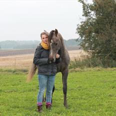 Anden særlig race SG Dusty Dakota