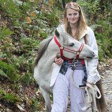 Kaspisk hest Rosmear Aram | Geden/Æsel