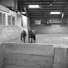 Merens de Cheval Nomeo Degamas