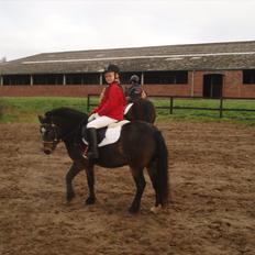 Dartmoor Amalie Ronda (Chili)