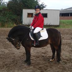 Dartmoor Amalie Ronda (Chili)