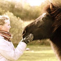 Islænder Náttgjólá