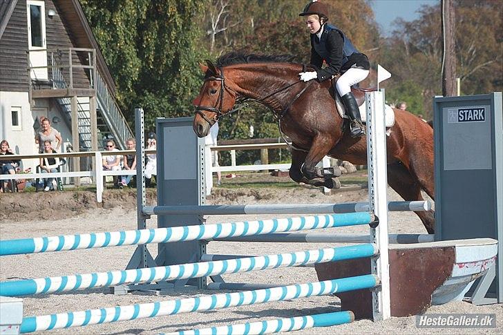 Anden særlig race Lady - spring på HUR 90cm
foto: Sofie billede 3