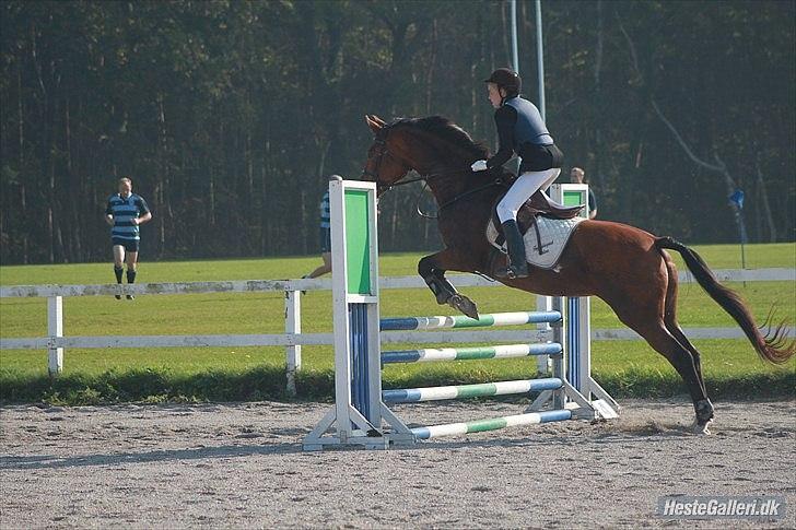 Anden særlig race Lady - spring på HUR 90cm
foto: Sofie billede 8