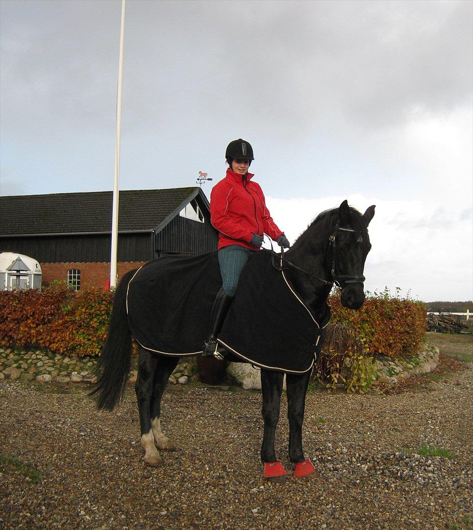 Anden særlig race Mølbjerggaards Zorro billede 1