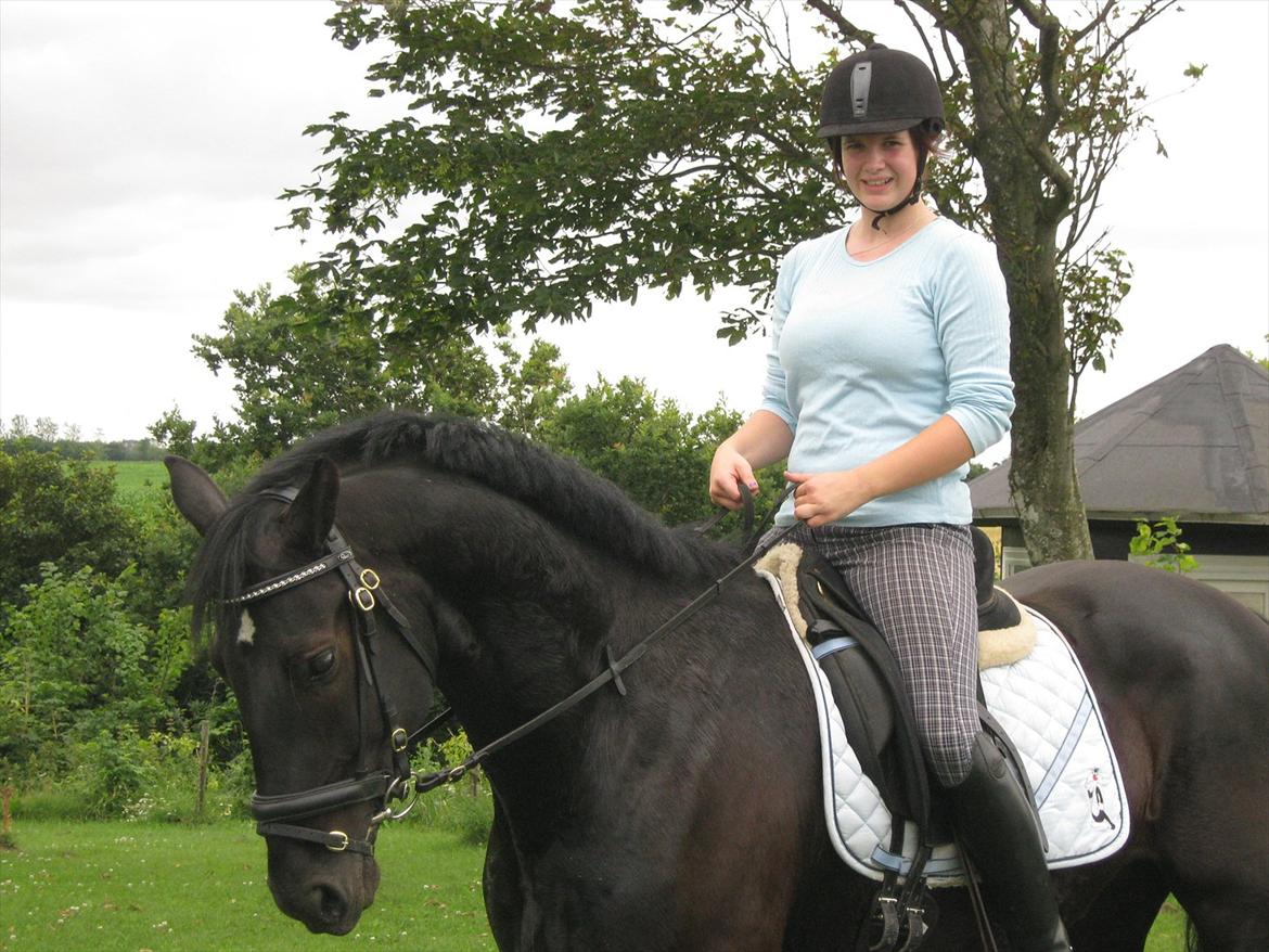 Anden særlig race Mølbjerggaards Zorro billede 6