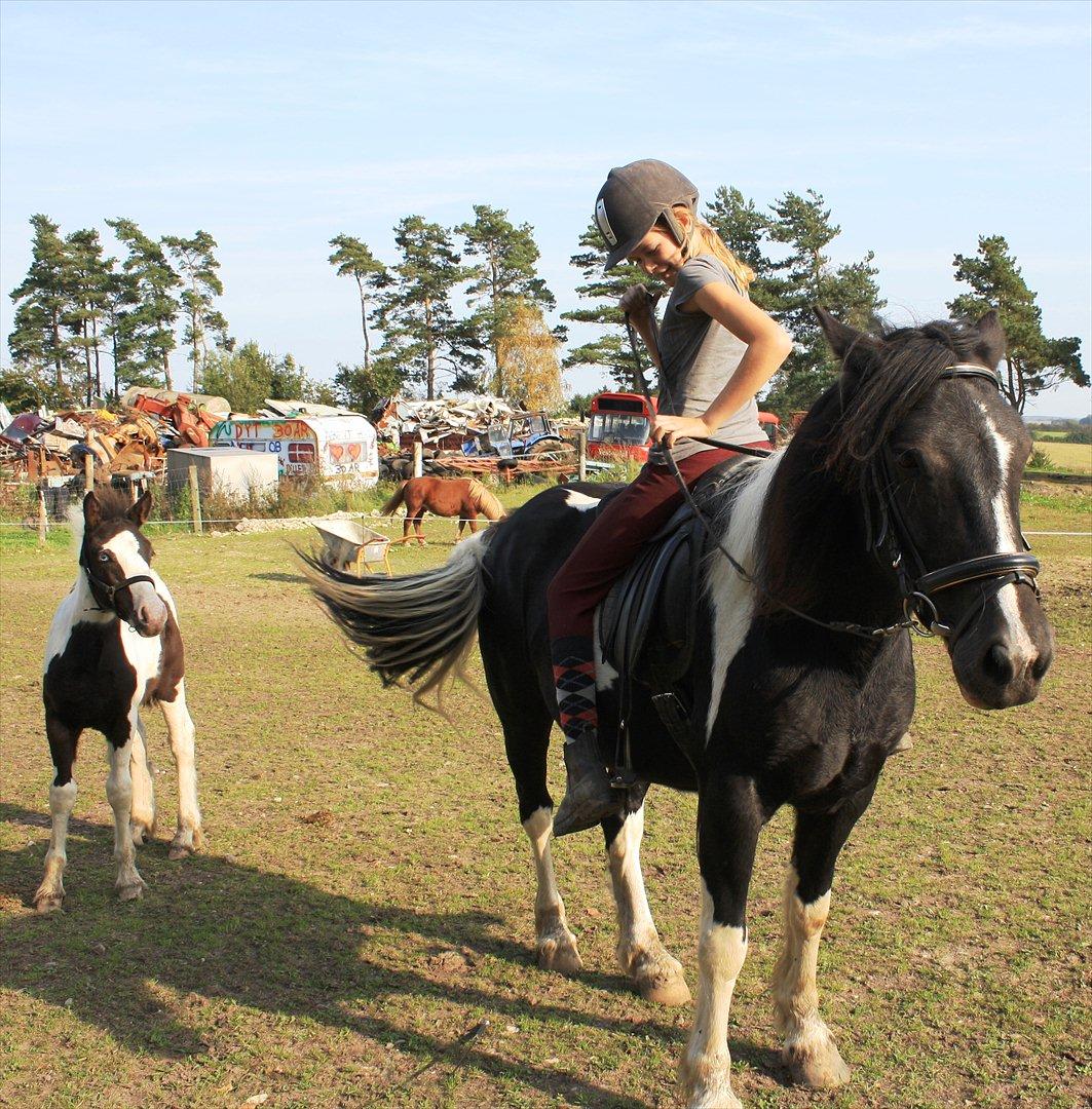 Tinker Skovbakkens Maggi May - Hvad laver det skøre menneske nu?? billede 38
