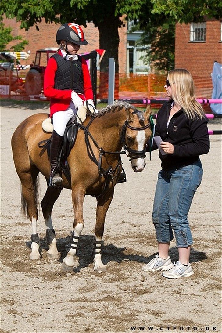 Welsh Pony (sec B) Faya Lobi Kasto-Glas 2002 *STJERNE PONY* - B-stævne 3 plads i mb2(; billed: CT-foto billede 10