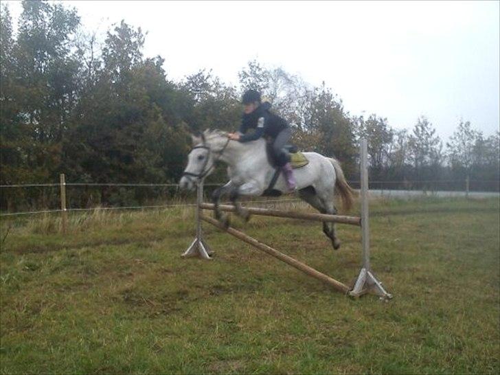 Anden særlig race Grace<3 ( Spring ) - veninde billede 4