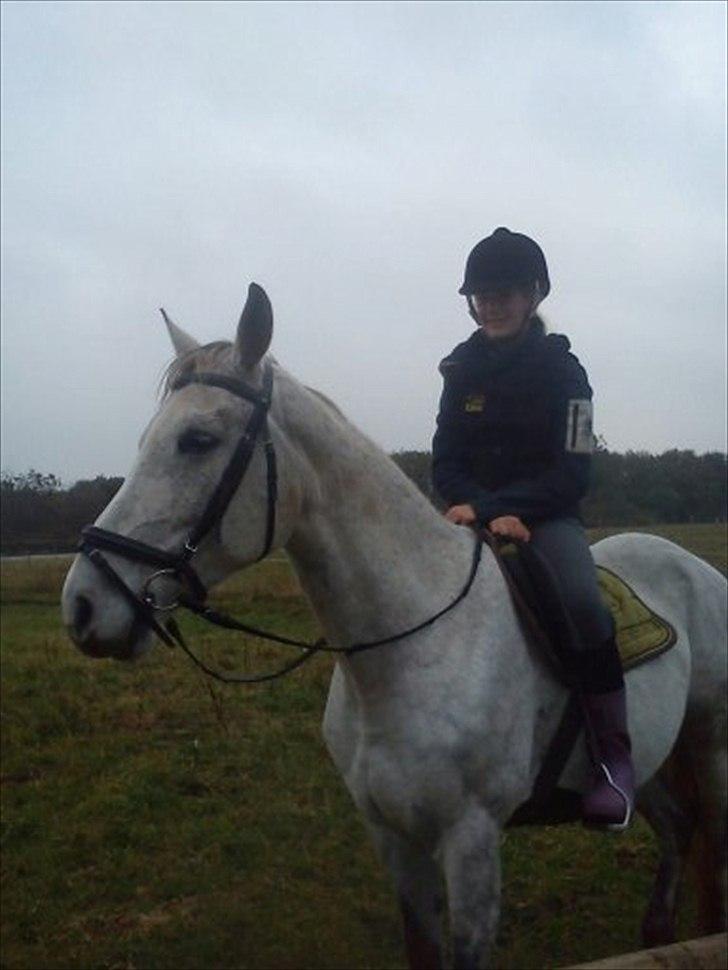 Anden særlig race Grace<3 ( Spring ) - MIn veninde der holder pause. billede 5