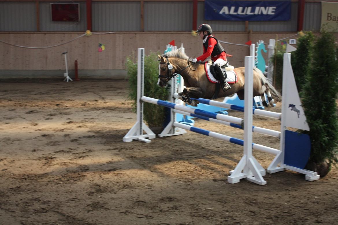 Welsh Pony (sec B) Faya Lobi Kasto-Glas 2002 *STJERNE PONY* - OMS!:D B-stævne(; nr. 3<3 billed: Mikala<3 billede 13