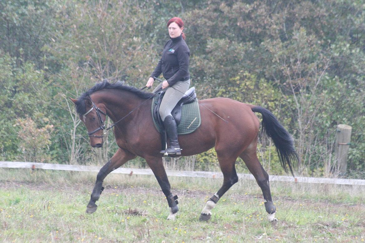 Dansk Varmblod Kronborgdiges Flika  - Træning 17/10-11
6. gang på ryggen ad hende der sker noget :D billede 15