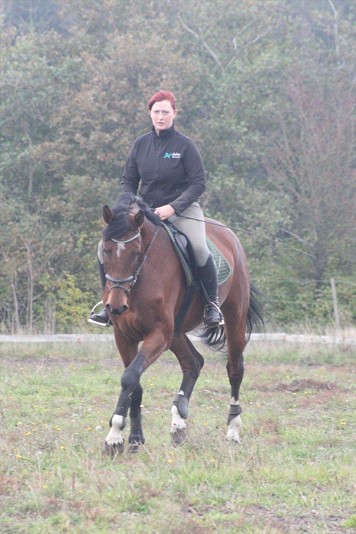 Dansk Varmblod Kronborgdiges Flika  - Træning 17/10-11
6. gang på ryggen ad hende der sker noget :D billede 17