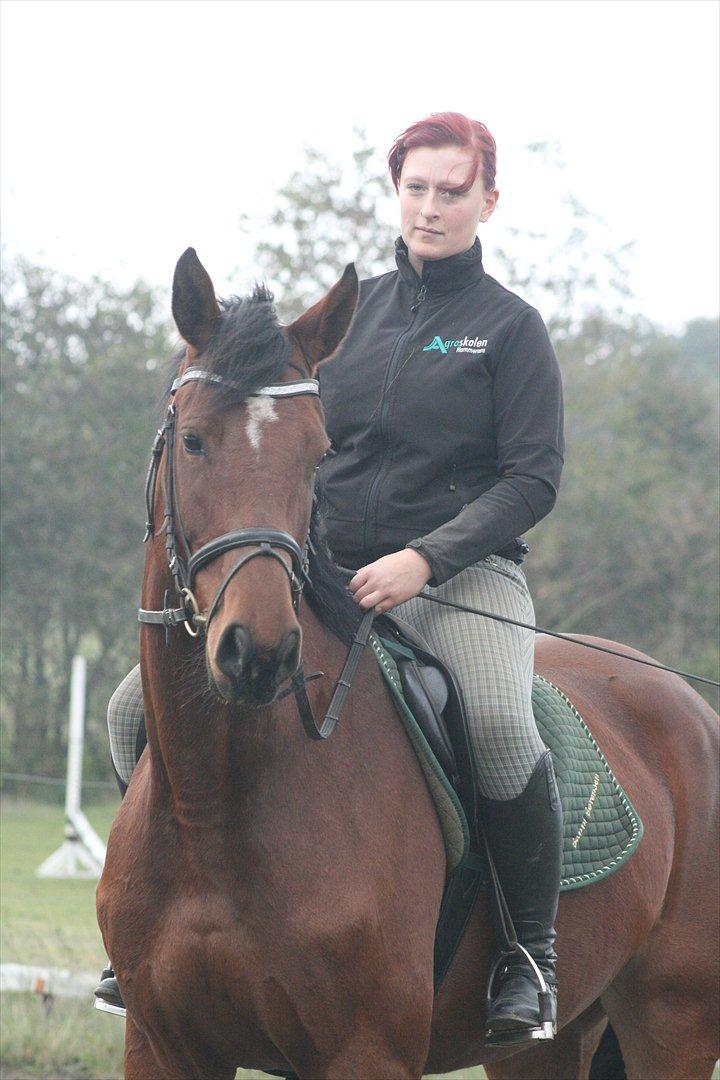 Dansk Varmblod Kronborgdiges Flika  - Flika og mig :D billede 14