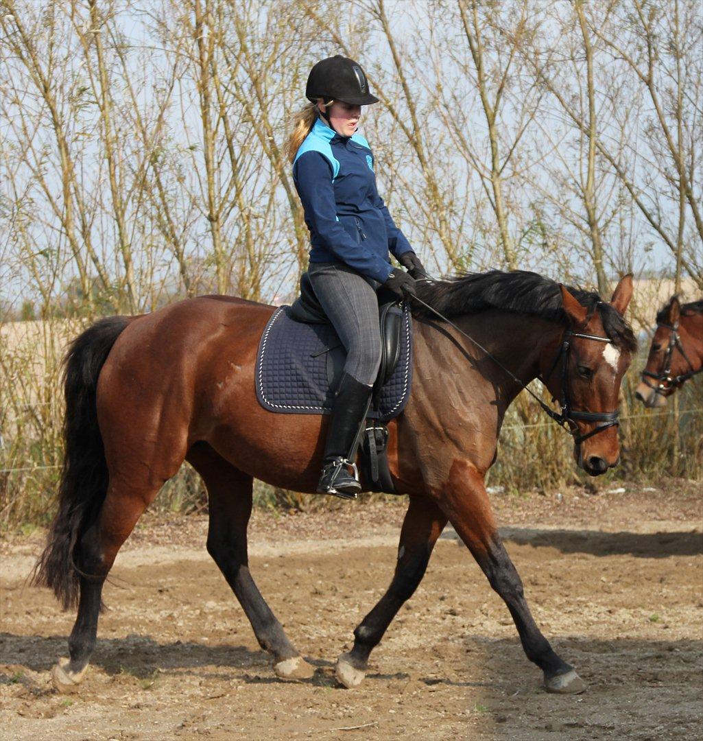 Anden særlig race PW's Tascha  billede 12