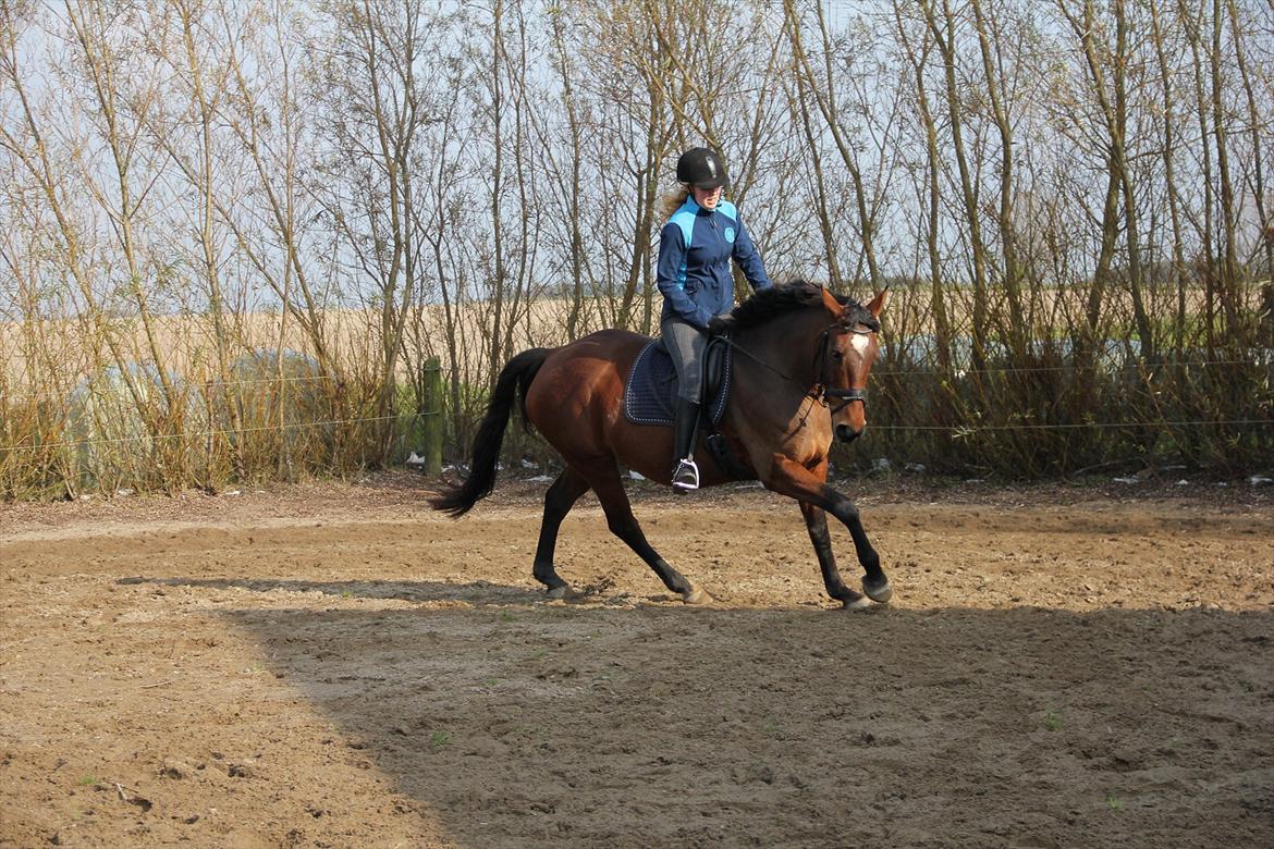Anden særlig race PW's Tascha  billede 13