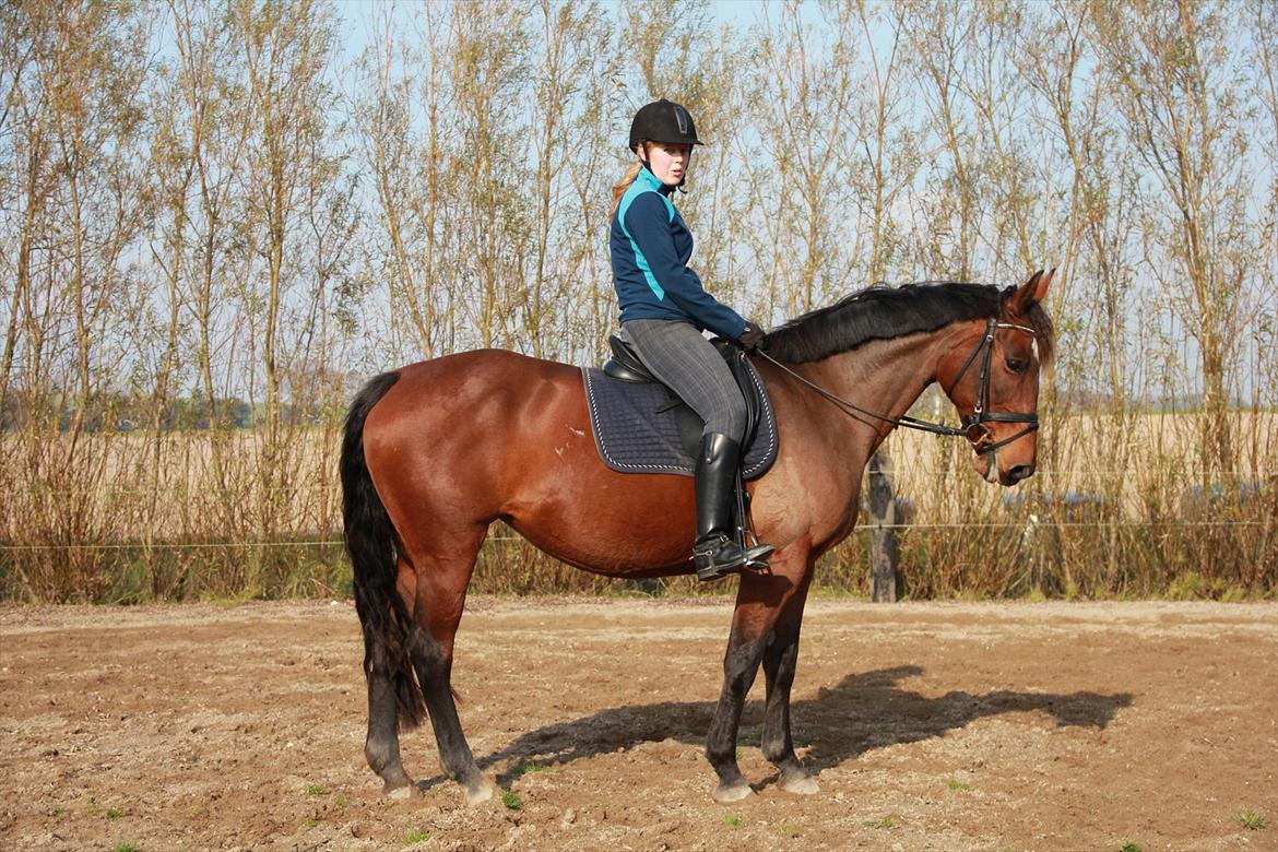 Anden særlig race PW's Tascha  billede 14