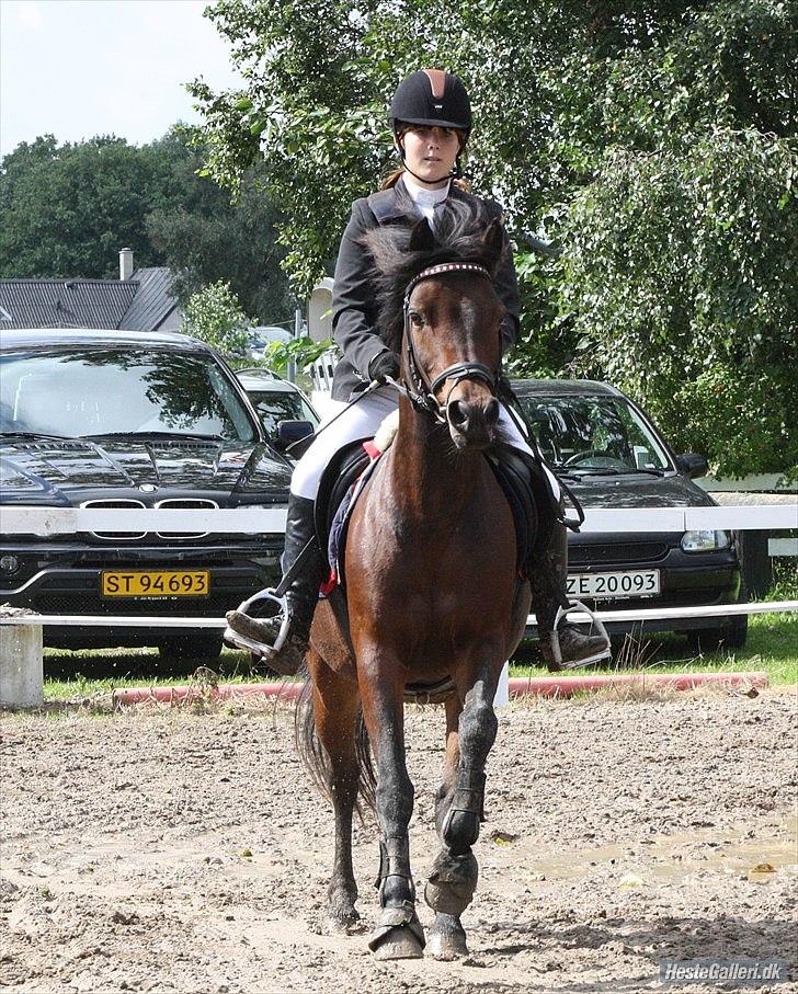 Connemara Camellia B-pony - På vej mod første spring i 2. hovedrunde til distriktsmesterskaberne i ridebanespringning! 1 plads! billede 19