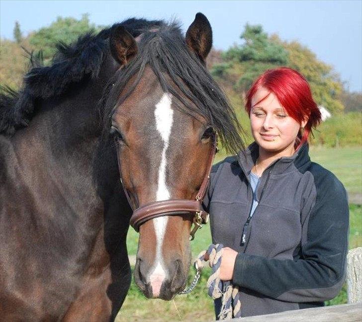 Tjekkisk Varmblod  Alcazar R.I.P <3 - Han er min soulmate <3 billede 10