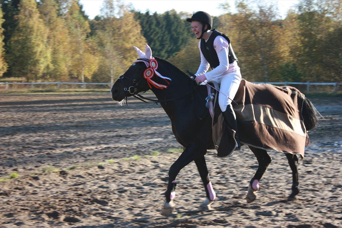 Anden særlig race Taco <3 *soulmate* - Grineflip på opvarmningen, efter to fejlfrie runder! :D
søndag d.16.10.11 foto: sofie billede 5