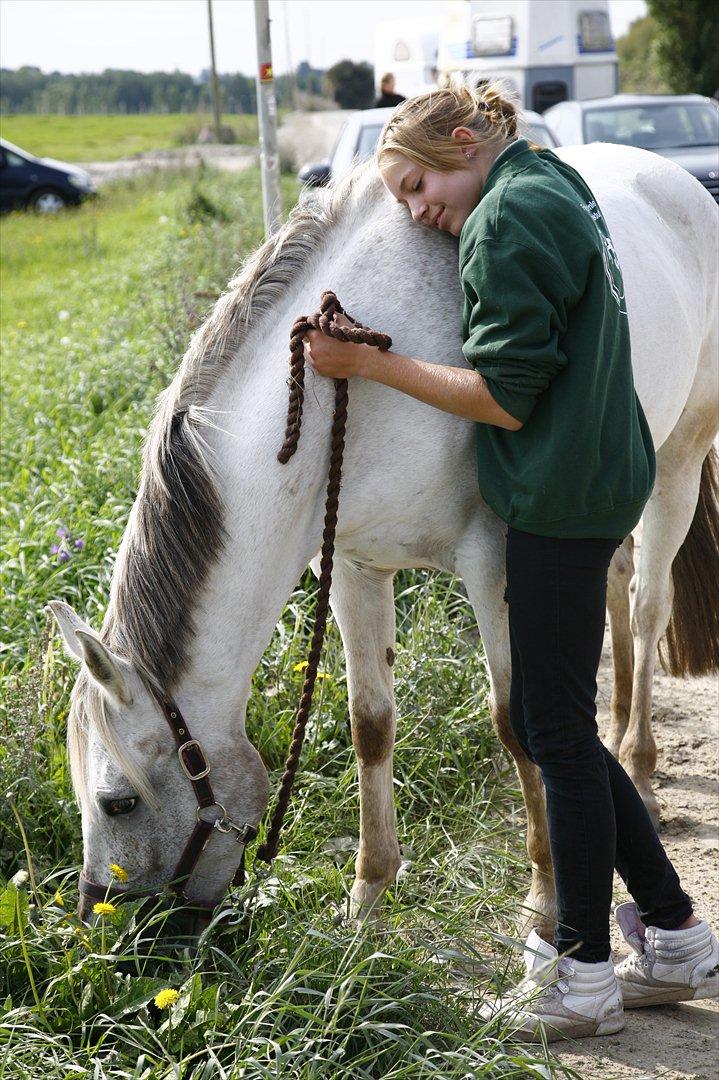 Anden særlig race Misty - Et af mine yndlings billeder af os <3 

jeg elsker dig! <3 

-Ude ved Store heste dag, SM i Pony games  billede 2