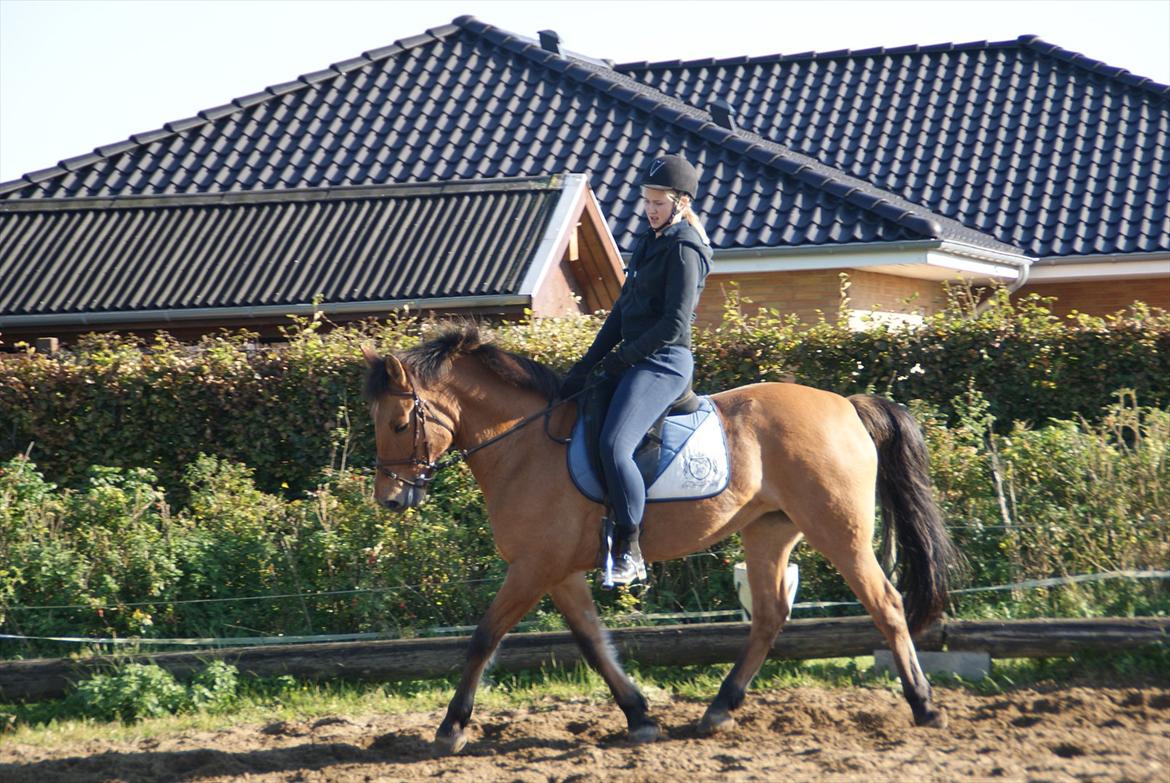 Anden særlig race Lucky  - min skat. billede 7