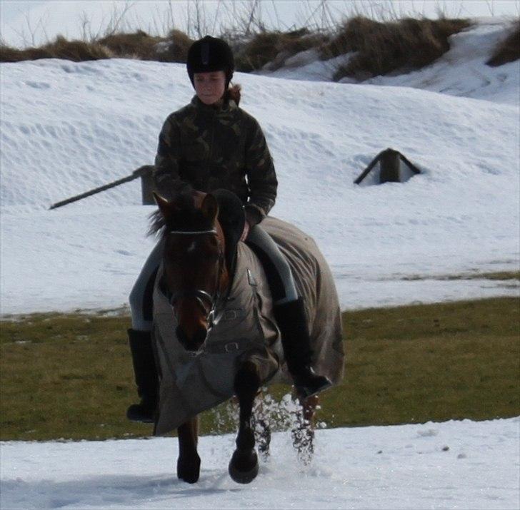 Anden særlig race Nicole billede 5