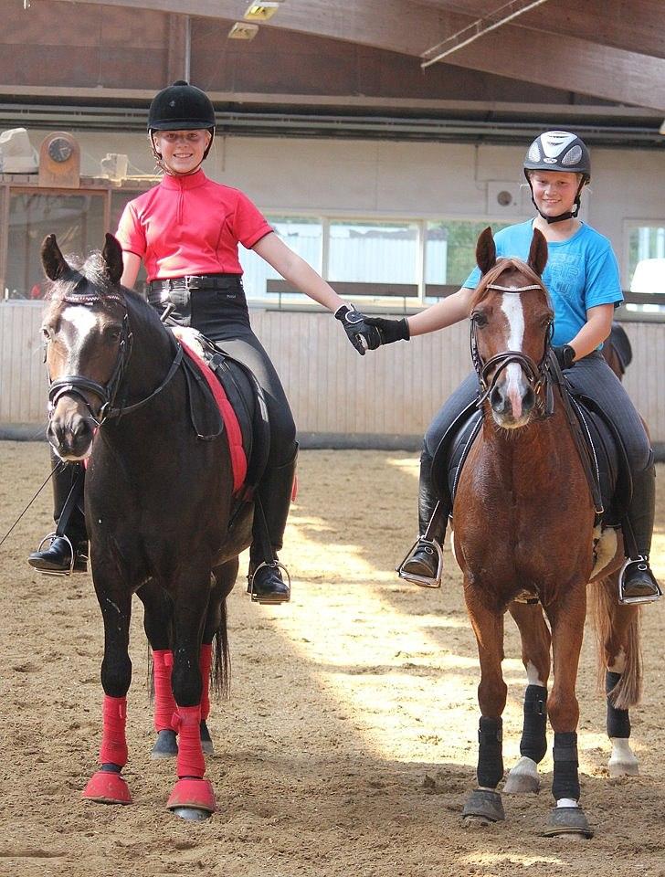 New Forest søndermarkens zidan!<3 *B-PONY* (solgt) - #8# De seje! :)
fotograf: Mia Vingtoft billede 8