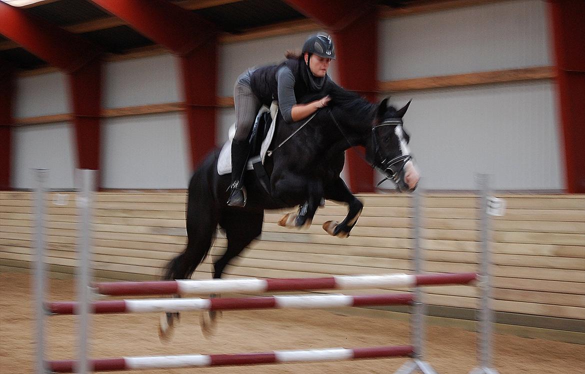 Hollandsk Varmblod Adisson - Sorry kvaliteten.. Springning 19. okt. 2011. .Fotograf: Line Gaarde billede 3