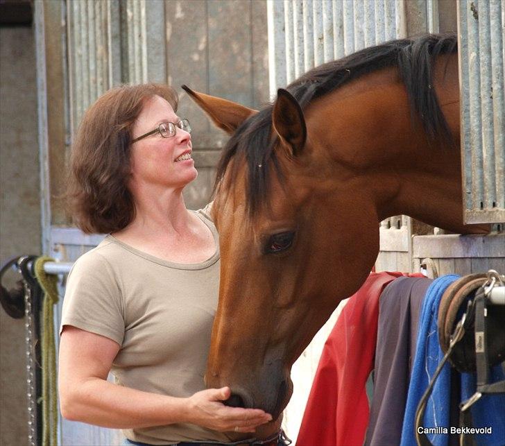 Dansk Varmblod Fældgårdens Dia-Lou billede 10