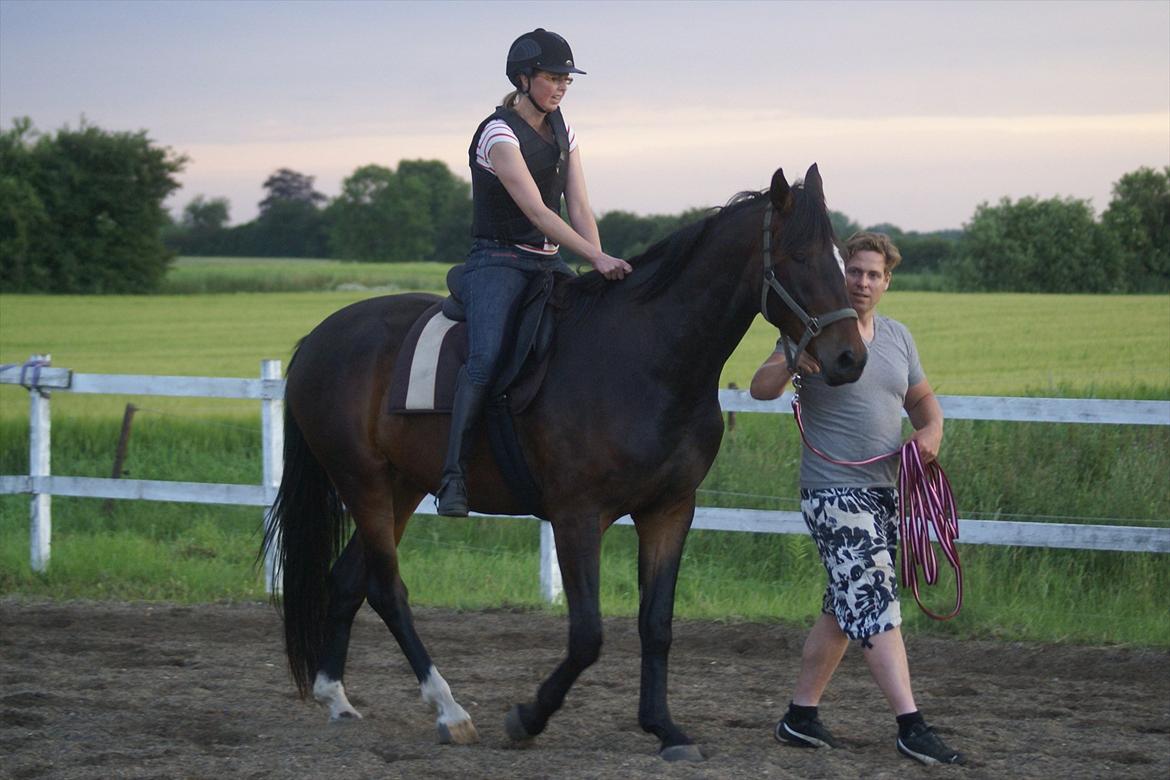 Dansk Varmblod Perfect Hour - Rytter på for 1. gang...jeg er ved at blive voksen :) 2011 billede 14