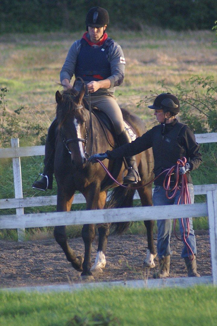 Dansk Varmblod Perfect Hour - Anden gang jeg havde rytter på...det er nu ikk særlig farligt :) 2011 billede 20