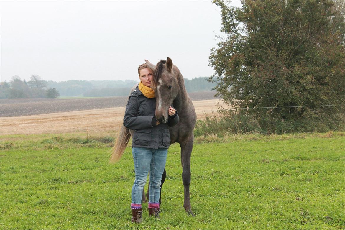 Anden særlig race SG Dusty Dakota - oktober 2011 billede 2