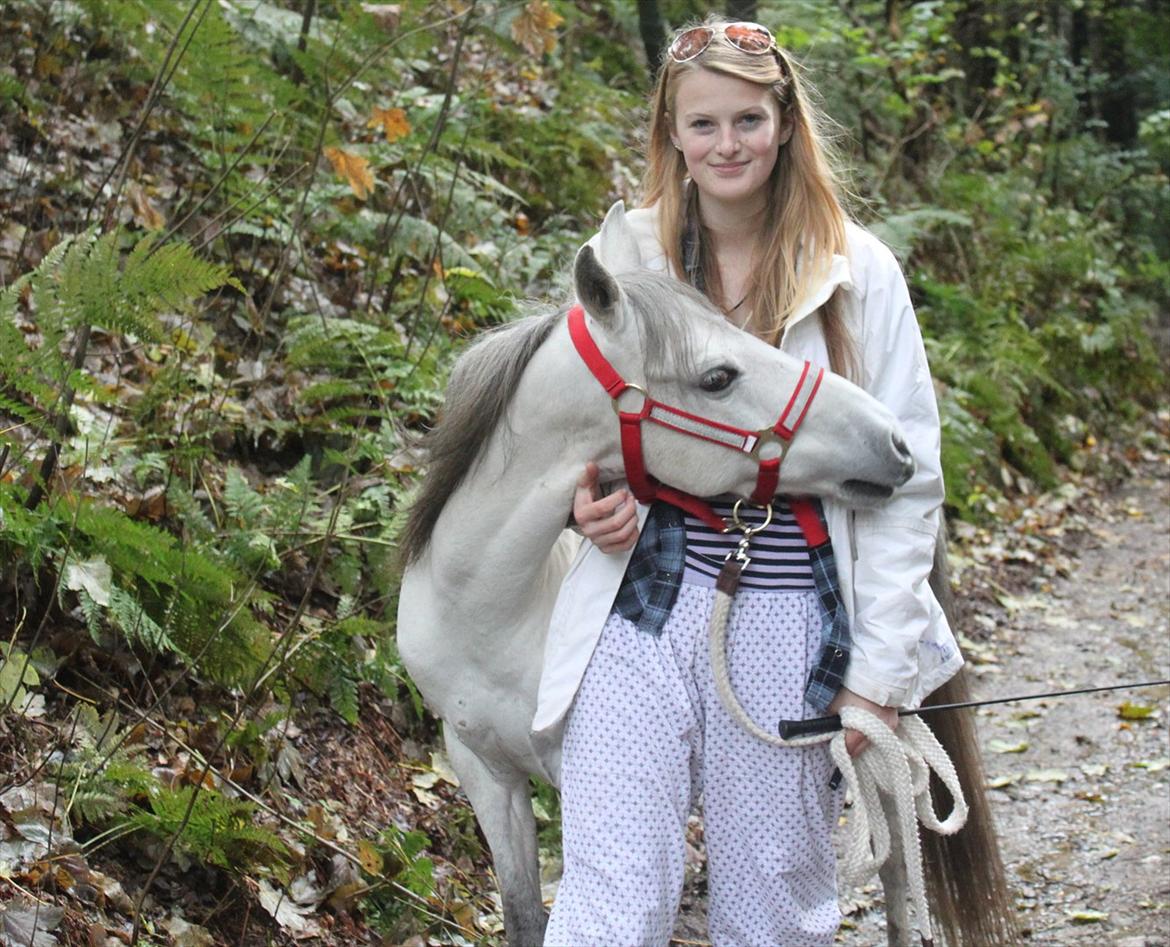 Kaspisk hest Rosmear Aram | Geden/Æsel - Shure do love that boy <3 - Anne N. Rokkjær billede 2