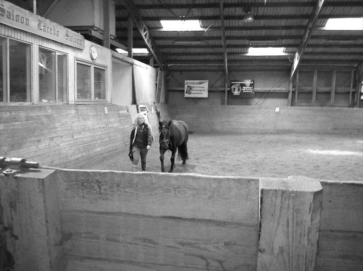 Merens de Cheval Nomeo Degamas billede 3