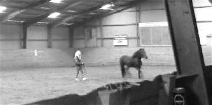 Merens de Cheval Nomeo Degamas billede 4