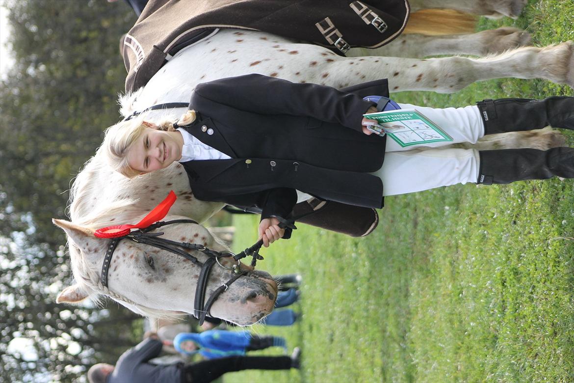 Anden særlig race julius <3 billede 16