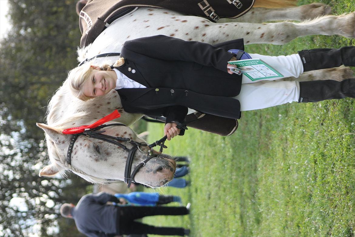 Anden særlig race julius <3 billede 17