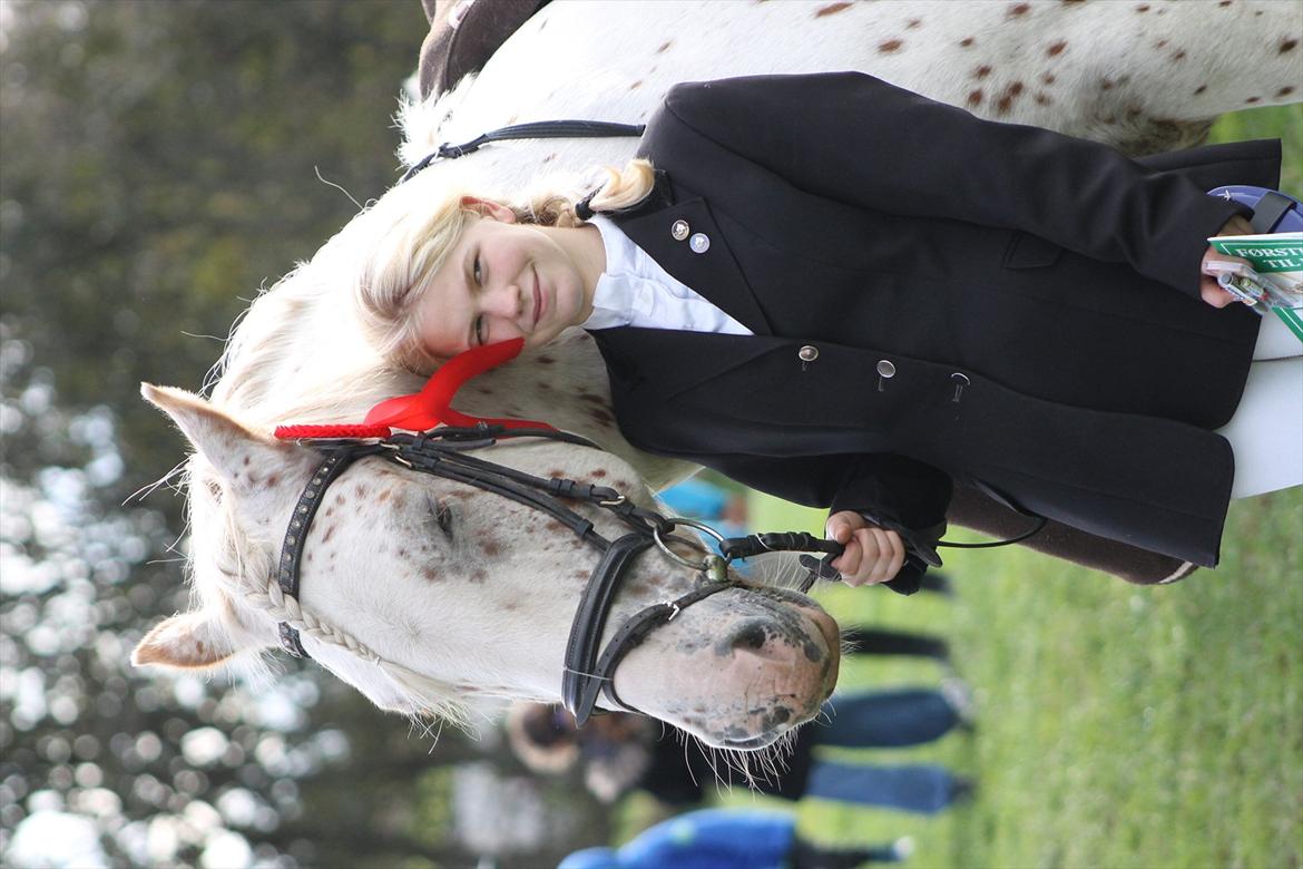 Anden særlig race julius <3 billede 18