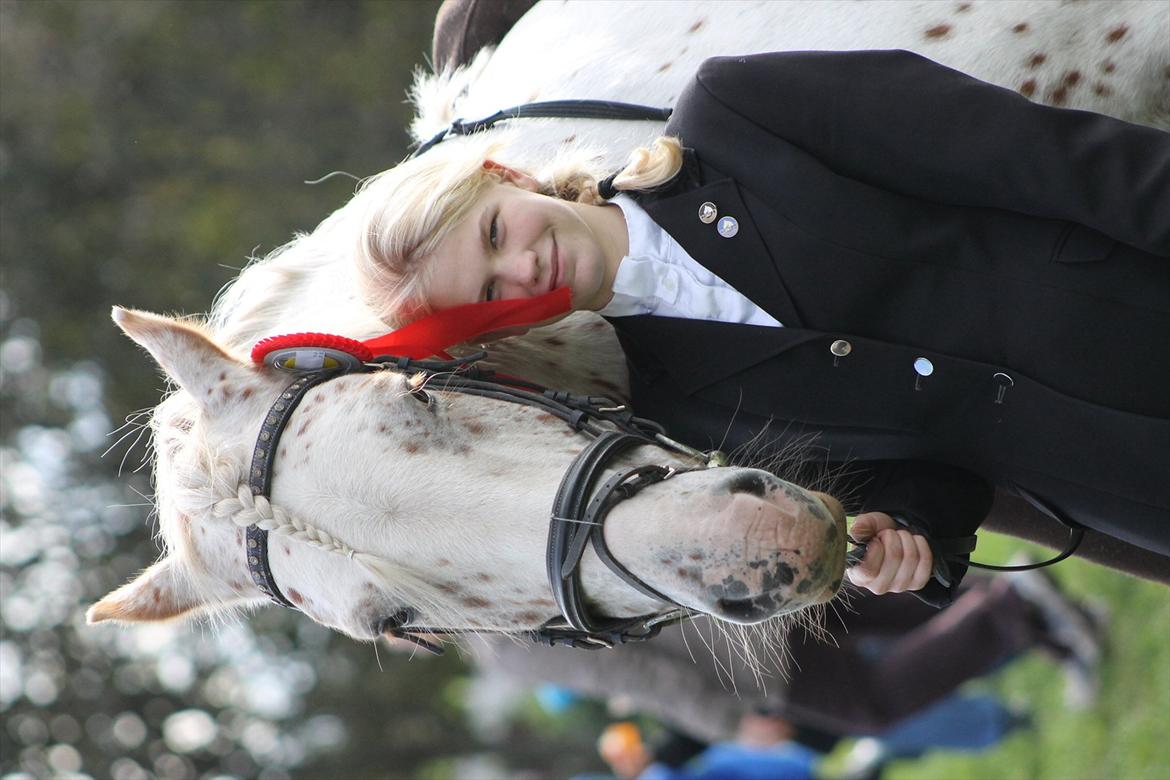 Anden særlig race julius <3 billede 19