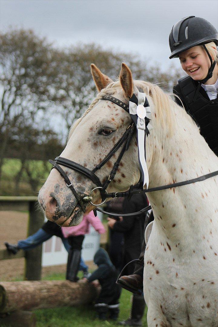 Anden særlig race julius <3 billede 20