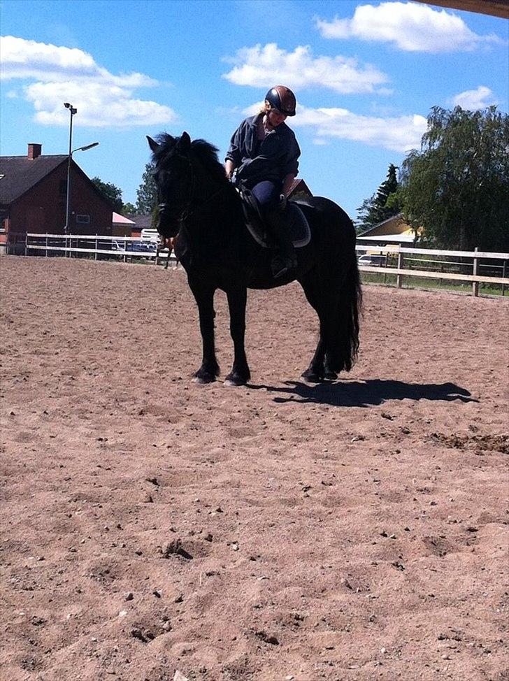 Merens de Cheval Nomeo Degamas billede 10