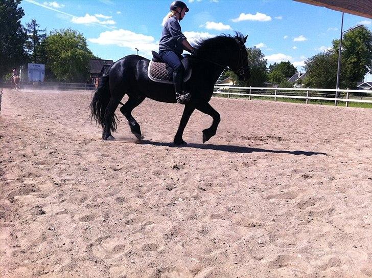 Merens de Cheval Nomeo Degamas billede 11