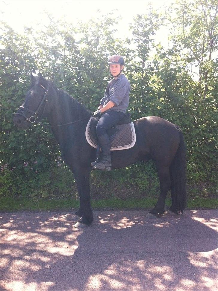 Merens de Cheval Nomeo Degamas billede 13