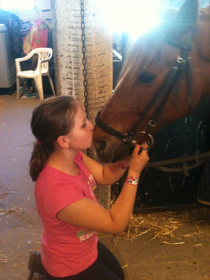 Anden særlig race Elliot  billede 5