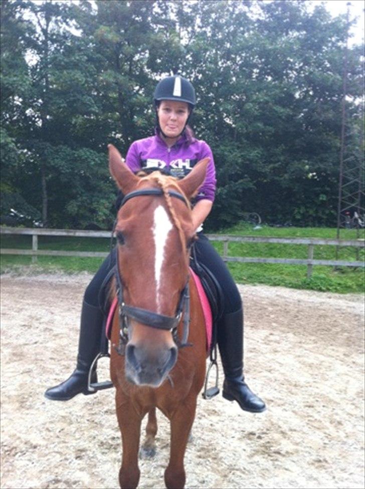 Anden særlig race Elliot  billede 8