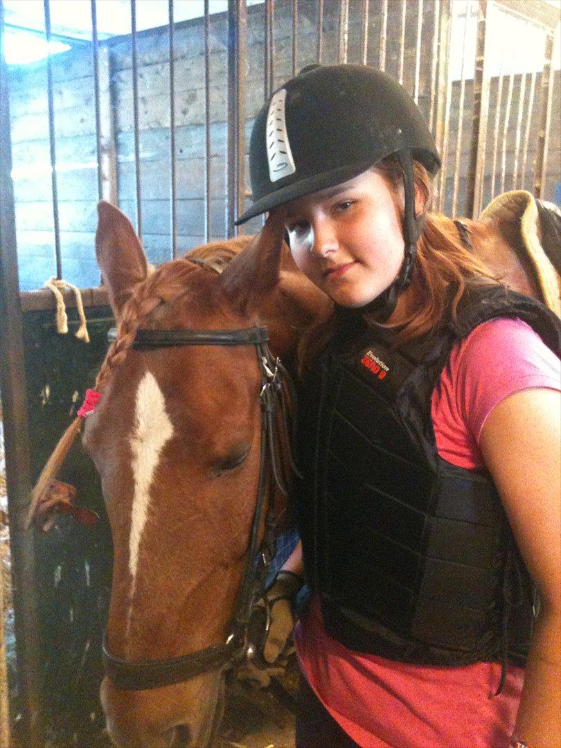 Anden særlig race Elliot  billede 10