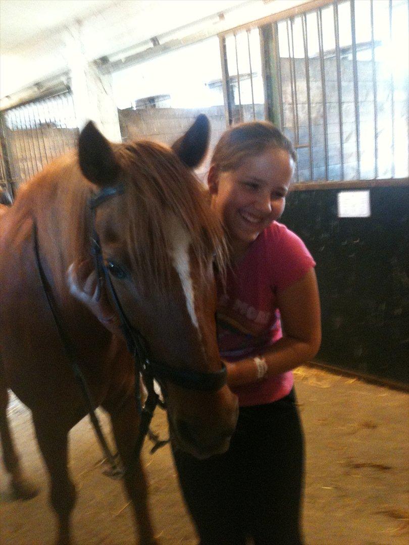 Anden særlig race Elliot  billede 11