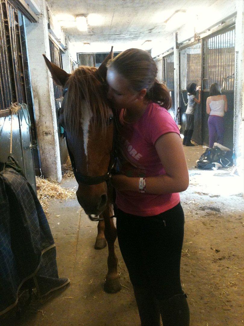 Anden særlig race Elliot  billede 13