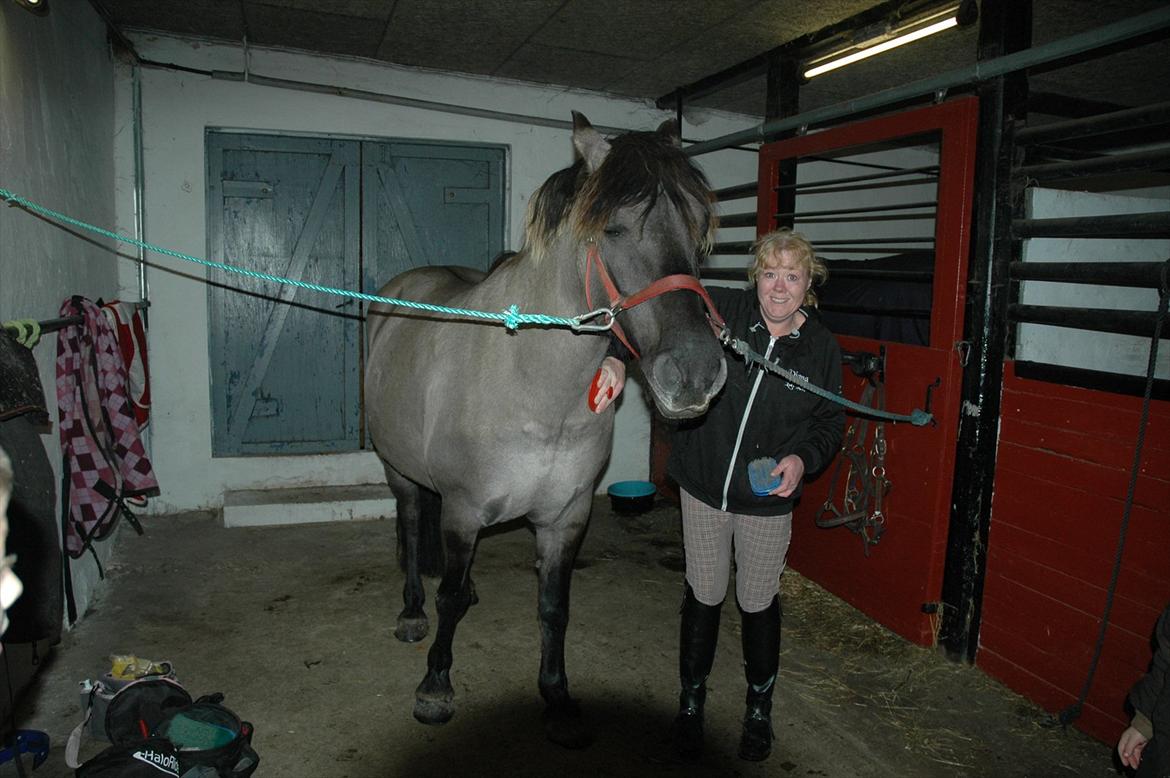 Anden særlig race Fiona  - Fiona og jeg på Hirtshals rideskole,vi er ved at gøre klar til ridetime  billede 6